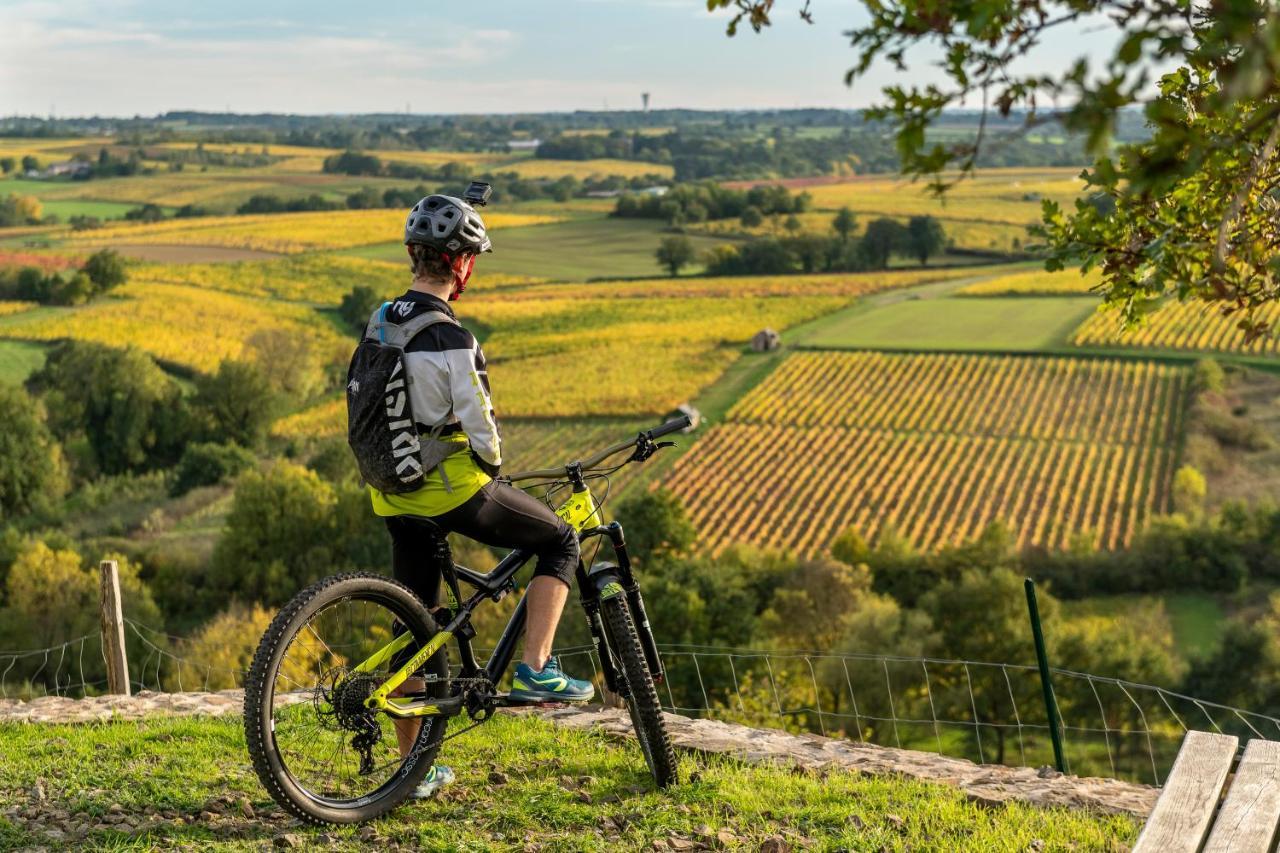 ホテル Les Jardins De L'Anjou Montjean-sur-Loire エクステリア 写真