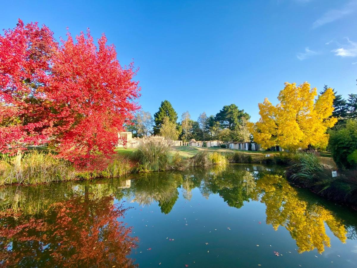 ホテル Les Jardins De L'Anjou Montjean-sur-Loire エクステリア 写真